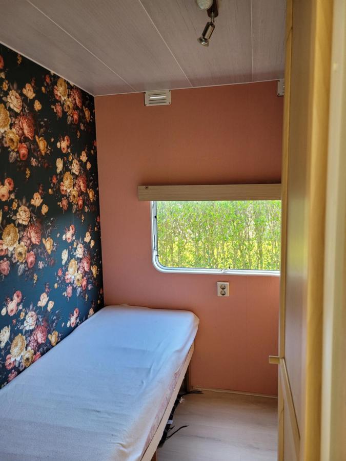 Camping De Blauwe Reiger Pieterzijl المظهر الخارجي الصورة